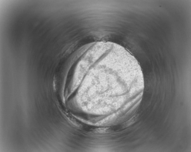 X0000053150090200508081422