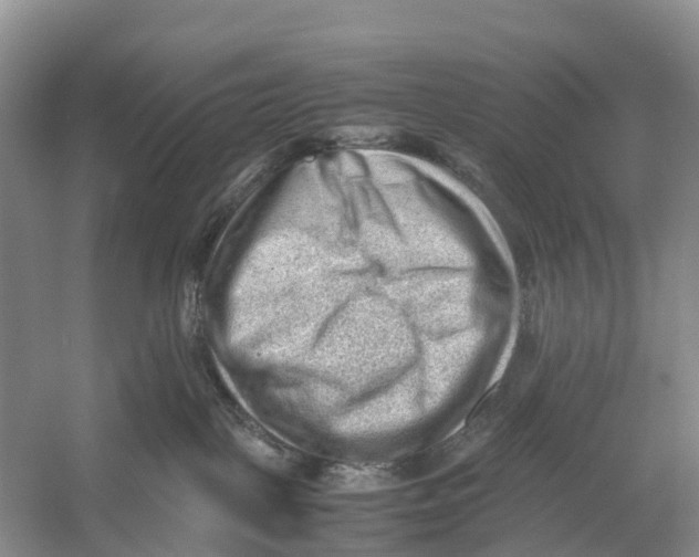 X0000053150093200508081422