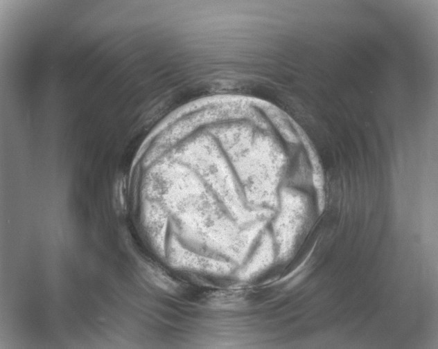 X0000053150094200508081422