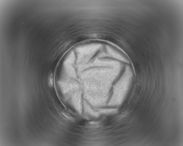 X0000053150095200508081422