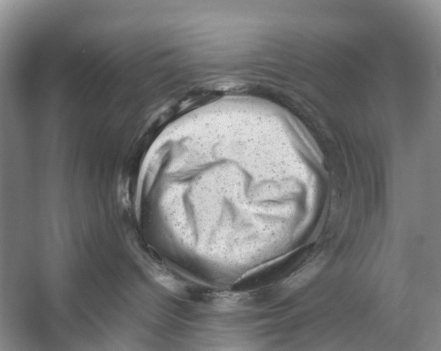 X0000053150096200508081422