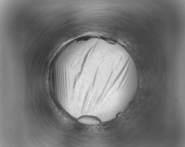 X0000053150098200508081421