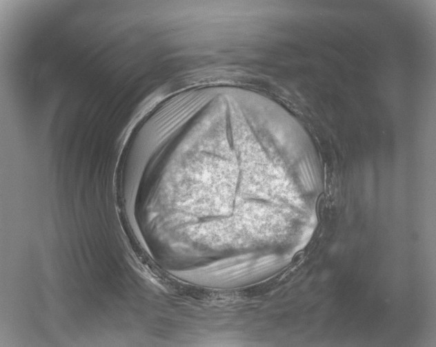 X0000053150099200508081421