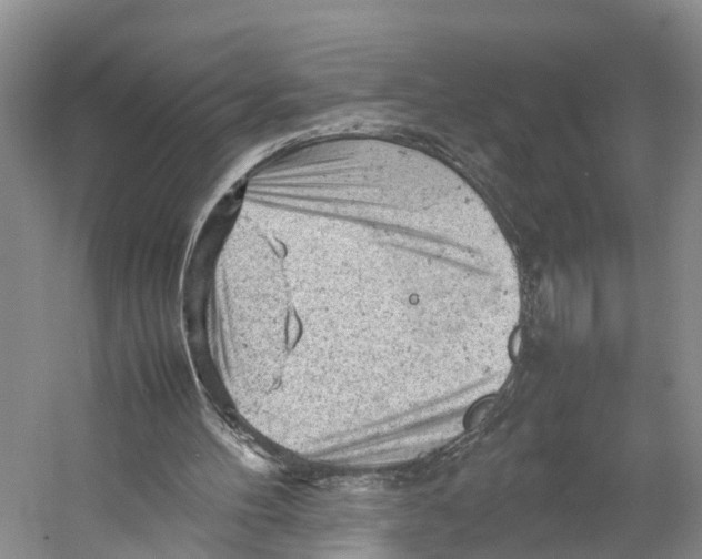 X0000053150100200508081421