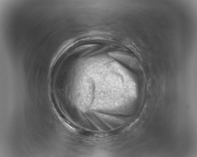 X0000053150101200508081421