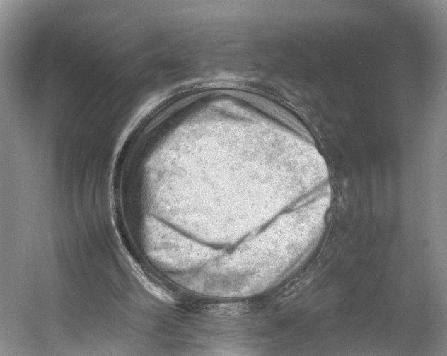 X0000053150102200508081421