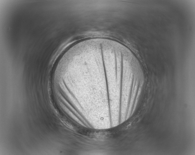 X0000053150103200508081421