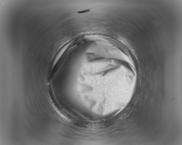 X0000053150105200508081421