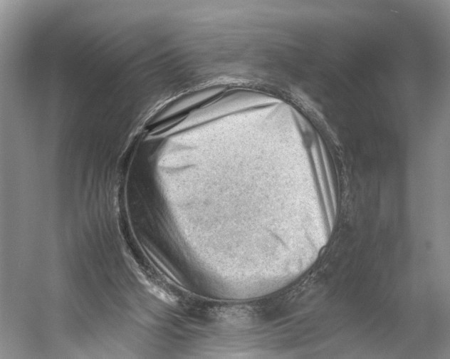 X0000053150106200508081421