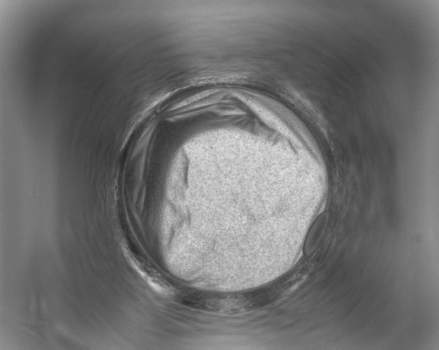 X0000053150107200508081421