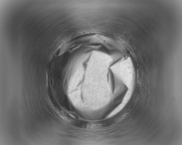 X0000053150109200508081421