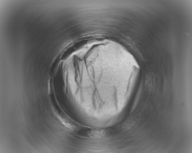 X0000053150110200508081421