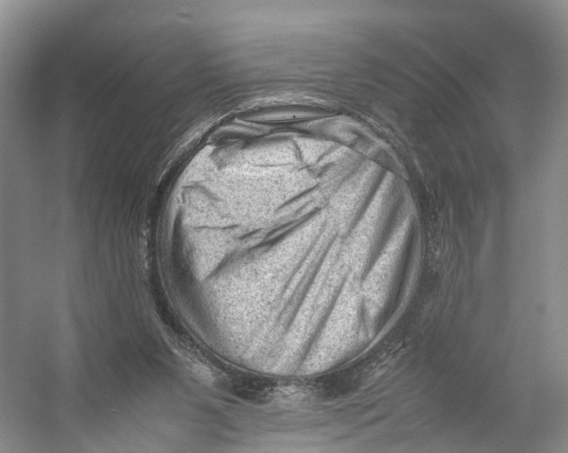 X0000053150111200508081421