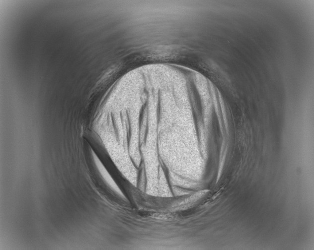 X0000053150115200508081421