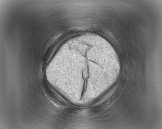 X0000053150116200508081421