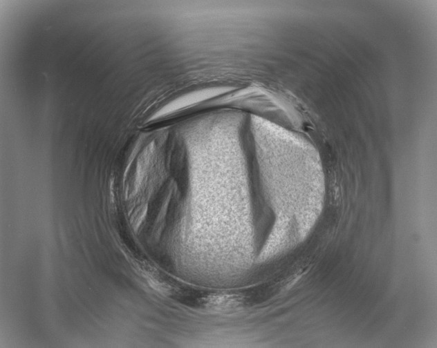 X0000053150117200508081421