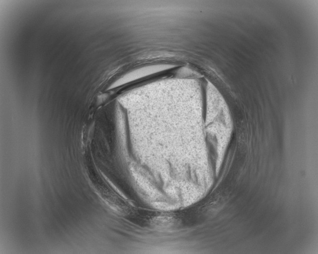 X0000053150119200508081421