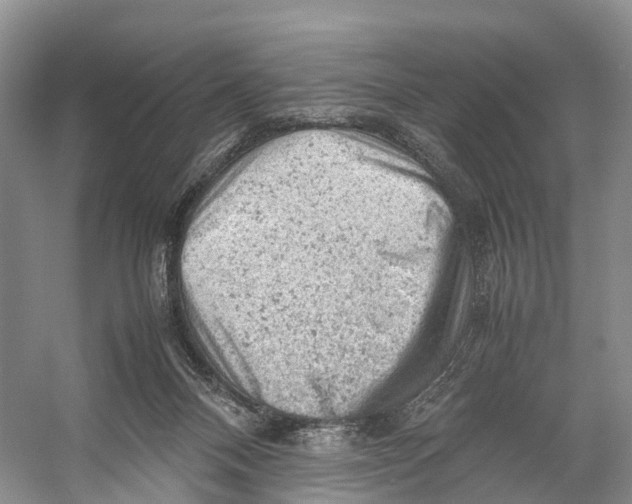 X0000053150120200508081421