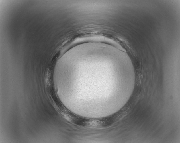 X0000053150121200508081421