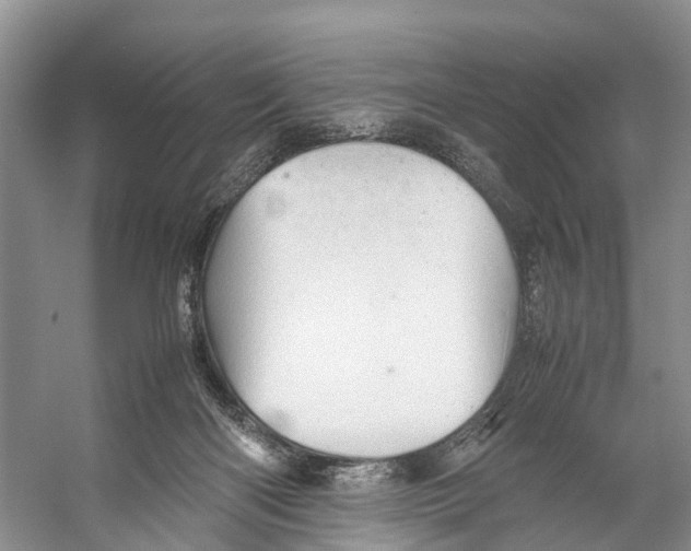 X0000053150122200508081421