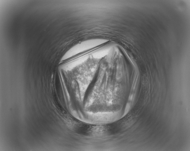 X0000053150127200508081420