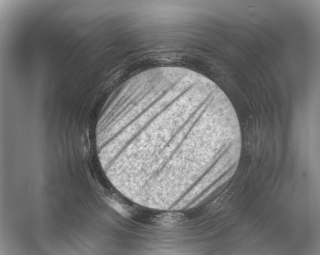 X0000053150128200508081420