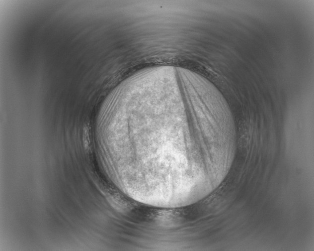 X0000053150130200508081420