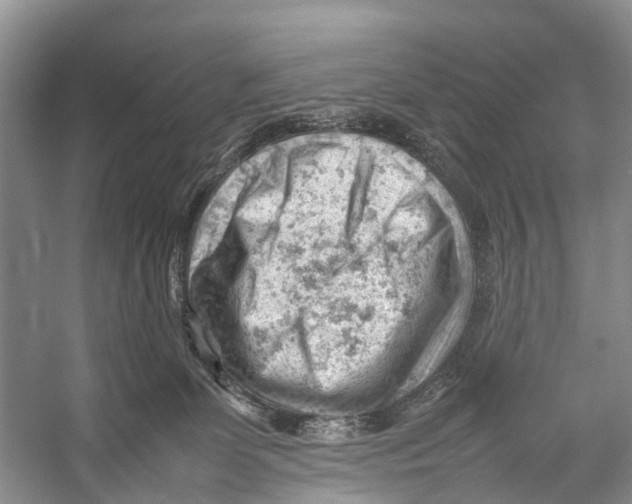 X0000053150131200508081420