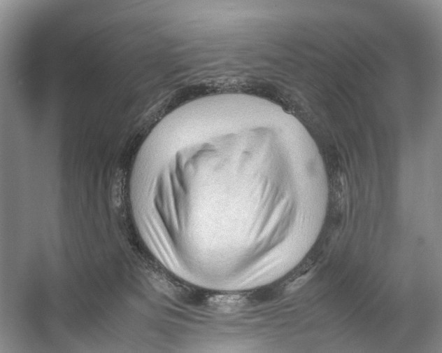 X0000053150133200508081420