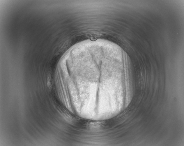 X0000053150134200508081420