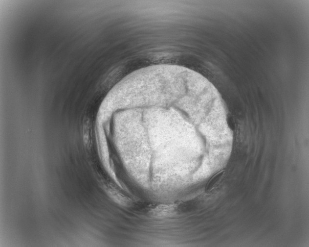 X0000053150138200508081420