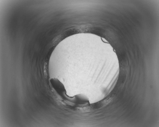 X0000053150139200508081420