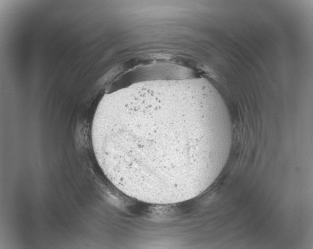 X0000053150141200508081420