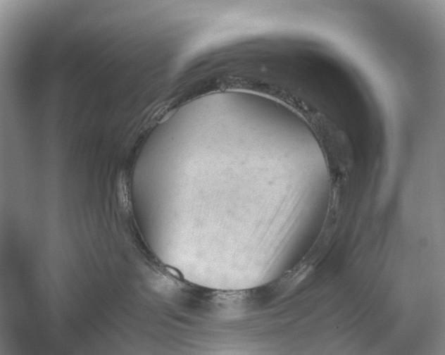 X0000053150143200508081420