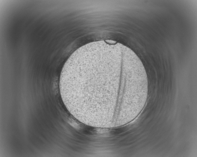 X0000053150144200508081420