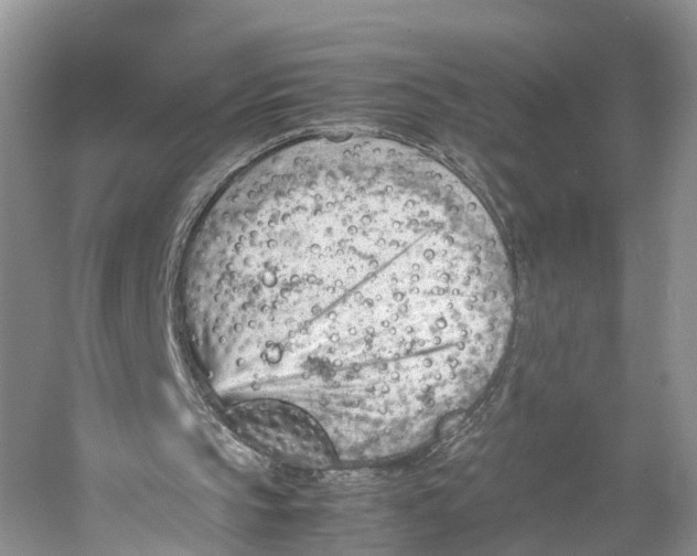 X0000053150145200508081419