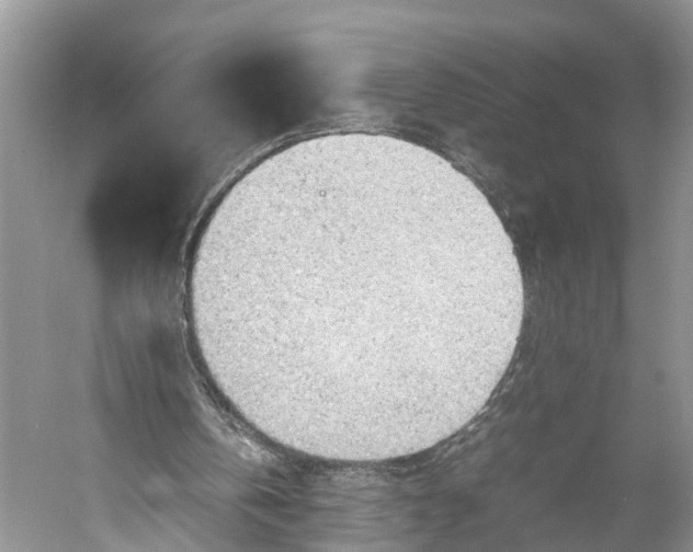 X0000053150146200508081419