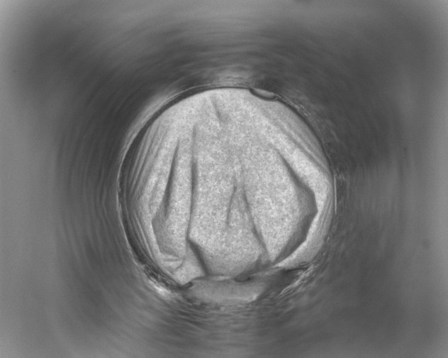 X0000053150147200508081419