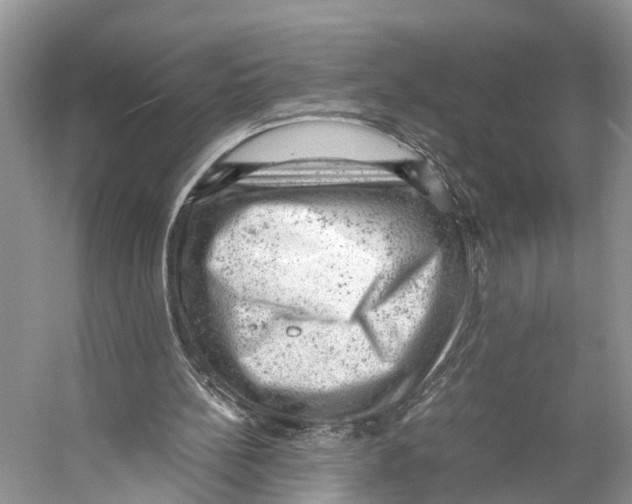 X0000053150148200508081419