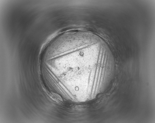 X0000053150149200508081419