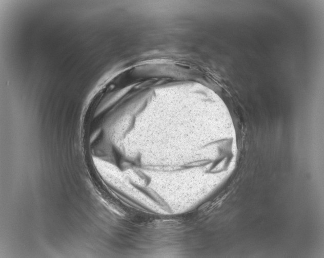 X0000053150150200508081419