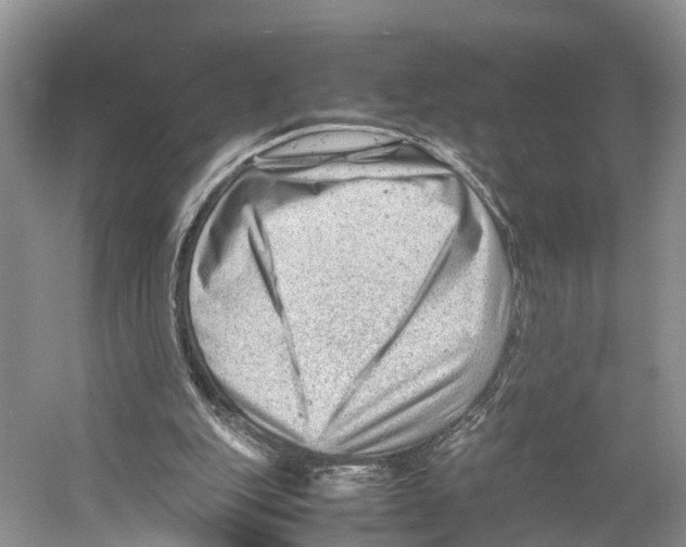 X0000053150151200508081419