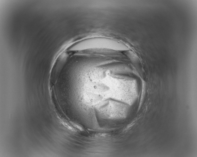 X0000053150152200508081419