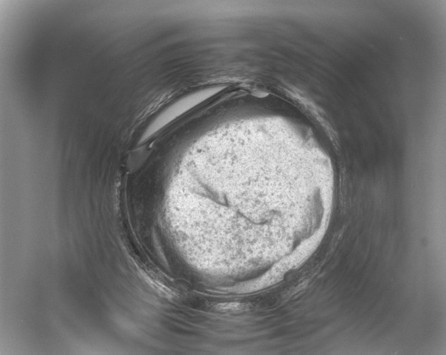 X0000053150153200508081419