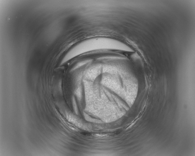 X0000053150154200508081419