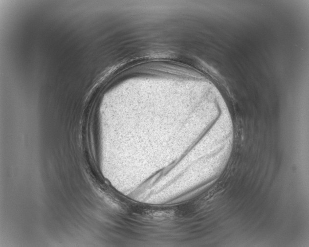 X0000053150155200508081419