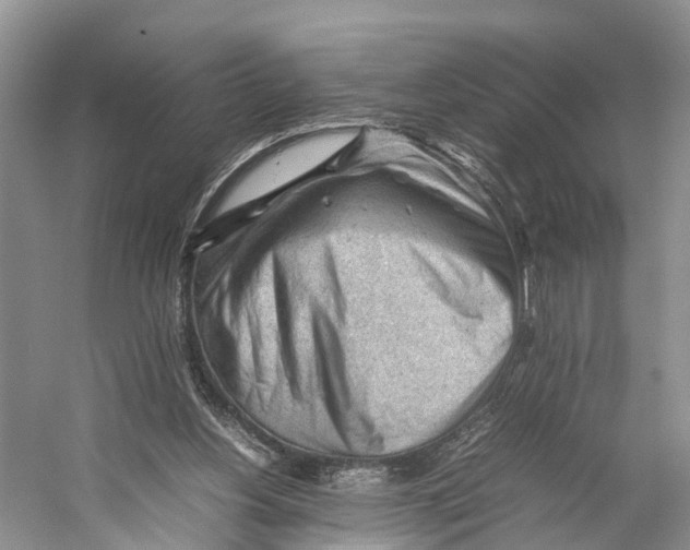 X0000053150156200508081419