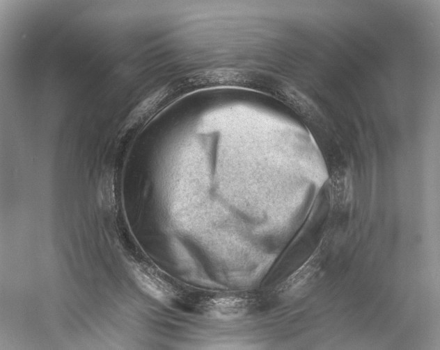 X0000053150158200508081420