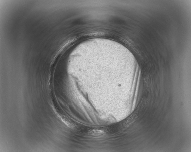 X0000053150159200508081420