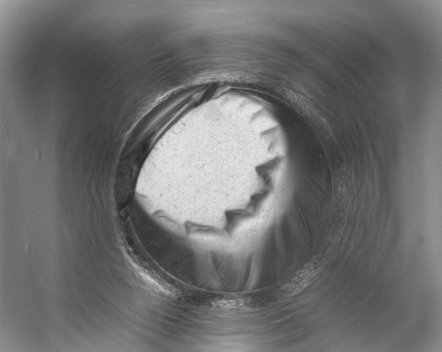 X0000053150160200508081420